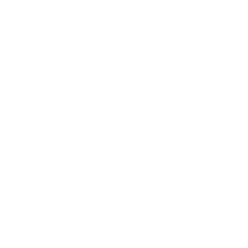 Leadership icon