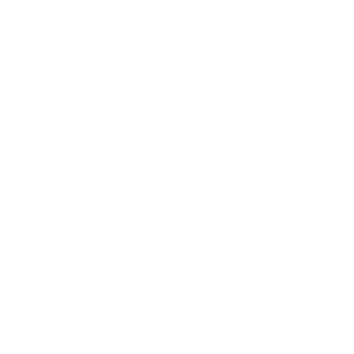 Vision icon